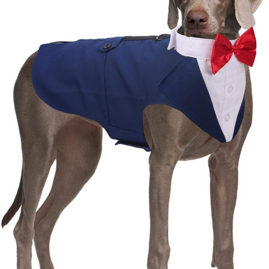 Formal Pup Tux Set – Blue