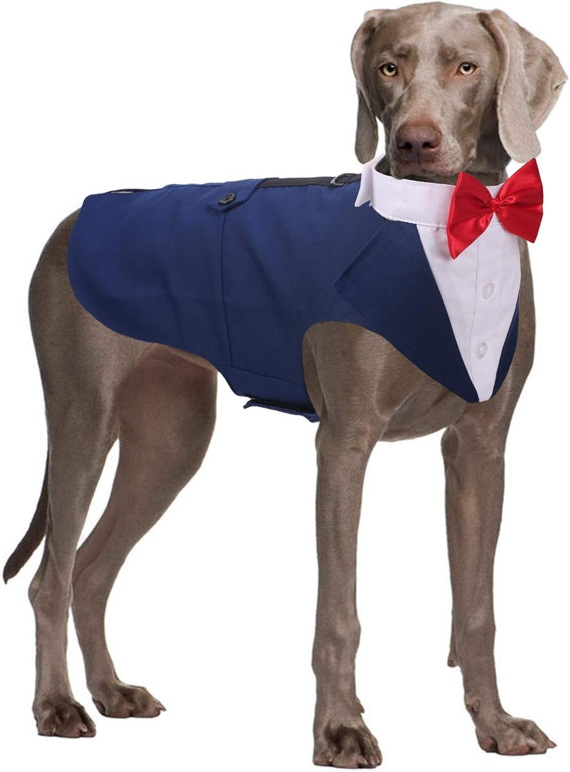 Tuxedo for Large Dogs, Suit and Bandana Set, Wedding Outfit with Bow Tie, Formal Tux Costume for Halloween Christmas Birthday Party Cosplay, Blue XL