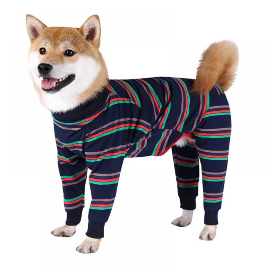 Dog Onesie Recovery Suit