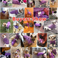 Pet Dog Classic Knitwear Sweater,Soft Fleece Coat for Small,Medium,Large Dog,Warm Pet Dog Cat Clothes,Soft Puppy Customes 2 Color (M, Purple)