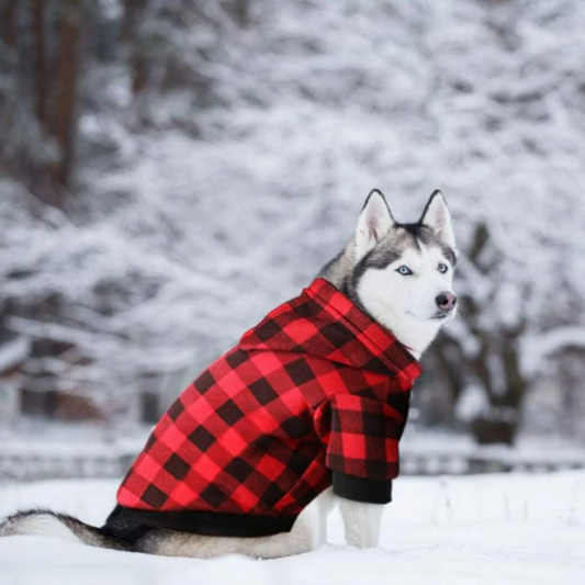 Dog Hoodie