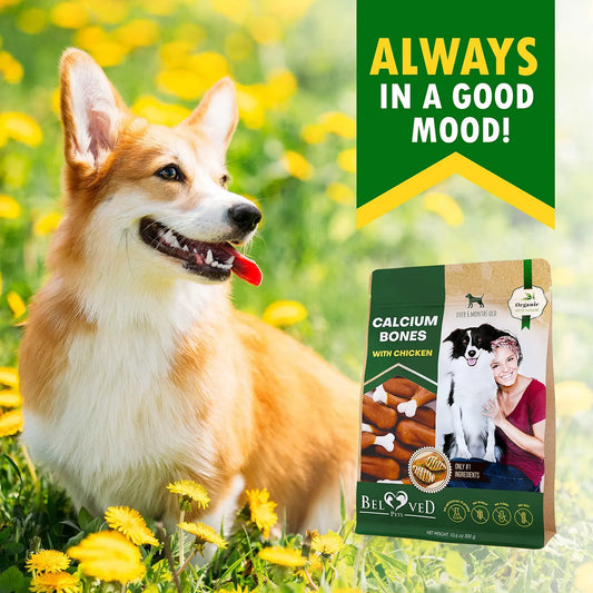Dog Calcium Chicken Rawhide-Free Chews