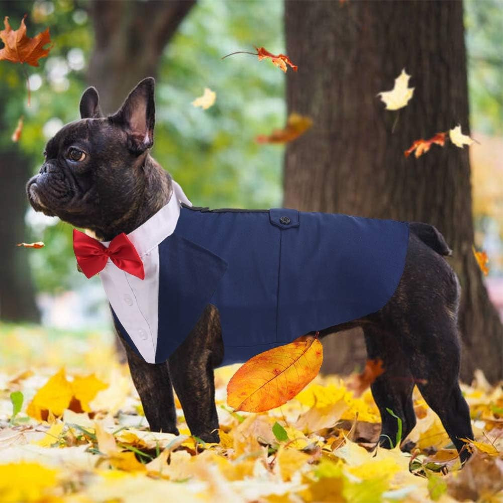 Tuxedo for Large Dogs, Suit and Bandana Set, Wedding Outfit with Bow Tie, Formal Tux Costume for Halloween Christmas Birthday Party Cosplay, Blue XL